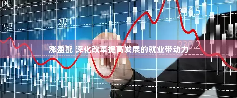 涨盈配 深化改革提高发展的就业带动力