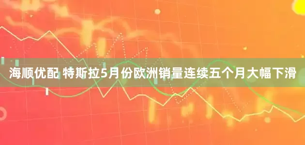 海顺优配 特斯拉5月份欧洲销量连续五个月大幅下滑