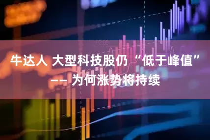 牛达人 大型科技股仍 “低于峰值”—— 为何涨势将持续