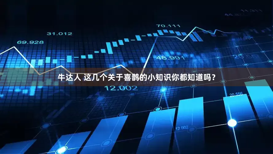 牛达人 这几个关于喜鹊的小知识你都知道吗？