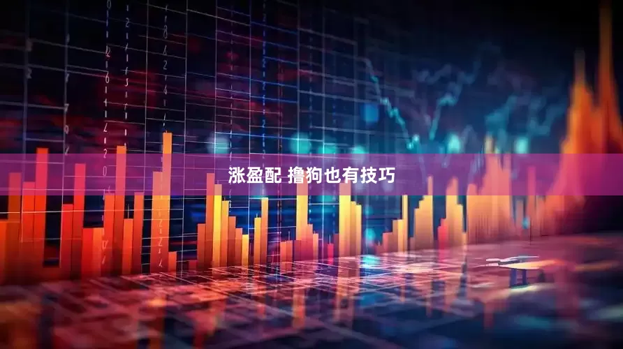 涨盈配 撸狗也有技巧
