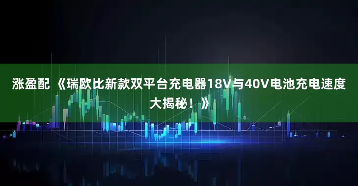 涨盈配 《瑞欧比新款双平台充电器18V与40V电池充电速度大揭秘！》